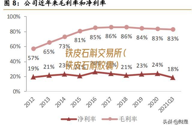 铁皮石斛交易所