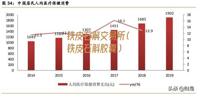 铁皮石斛交易所