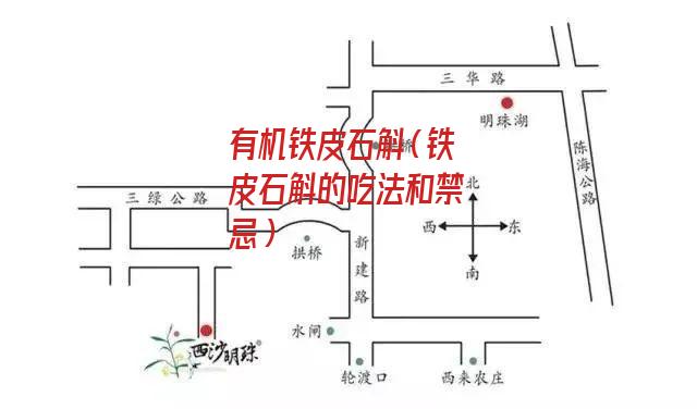 有机铁皮石斛