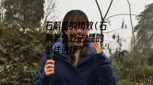 石斛苗的功效