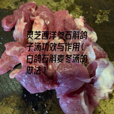 灵芝西洋参石斛鸽子汤功效与作用