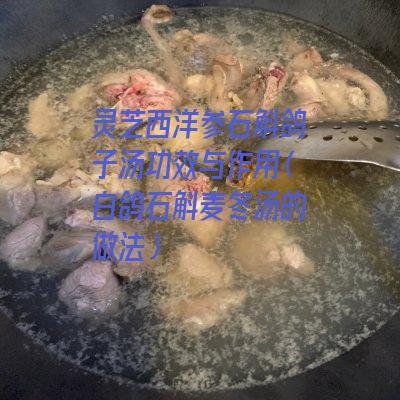 灵芝西洋参石斛鸽子汤功效与作用