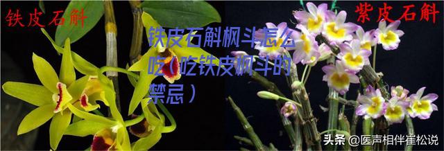 铁皮石斛枫斗怎么吃