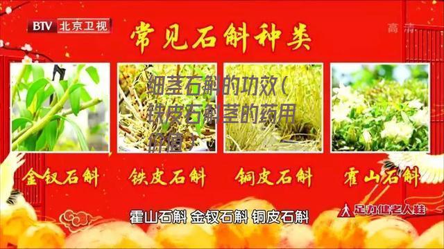 细茎石斛的功效