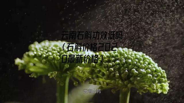 云南石斛功效低吗