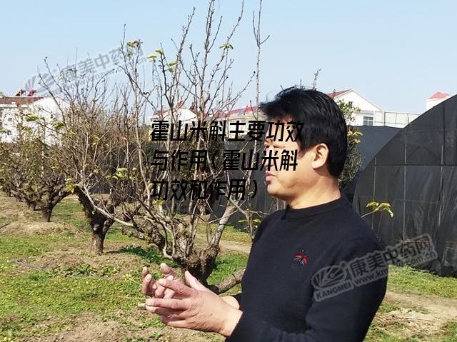 霍山米斛主要功效与作用