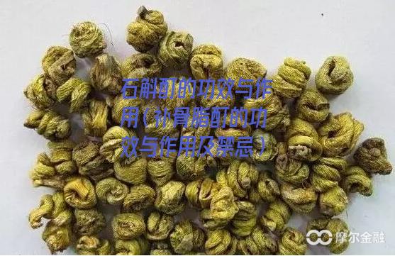 石斛酊的功效与作用