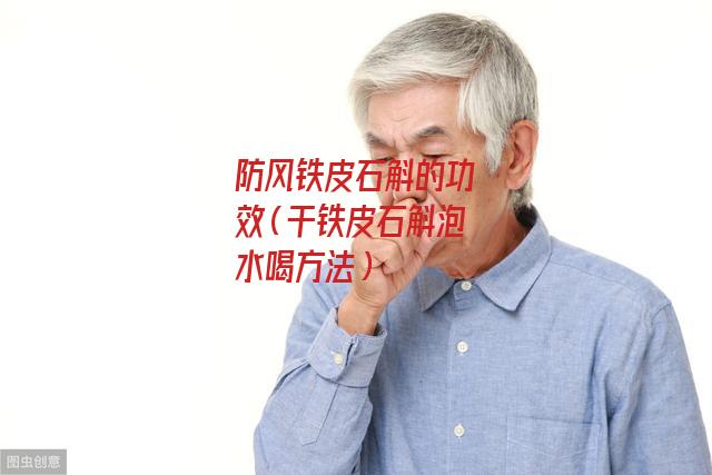 防风铁皮石斛的功效