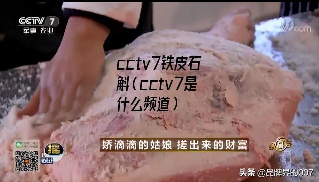 cctv7铁皮石斛