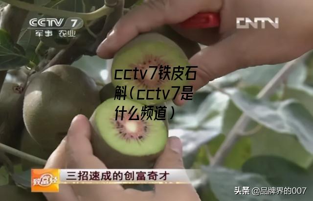 cctv7铁皮石斛