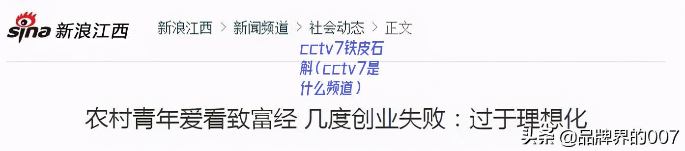 cctv7铁皮石斛