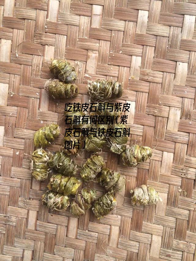 吃铁皮石斛与紫皮石斛有何区别