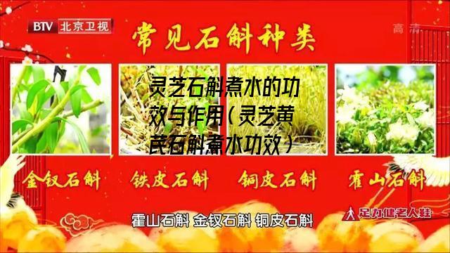 灵芝石斛煮水的功效与作用