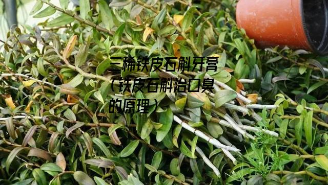 三稀铁皮石斛牙膏