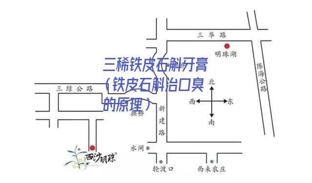 三稀铁皮石斛牙膏