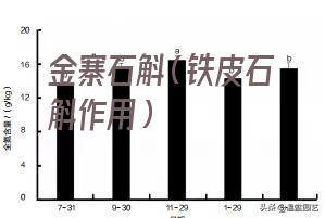 金寨石斛