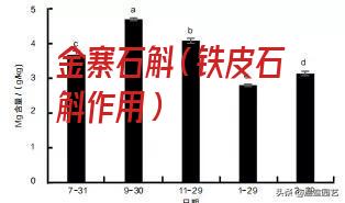 金寨石斛