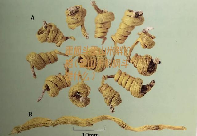 霍枫斗霍山米斛价格