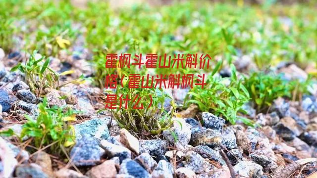 霍枫斗霍山米斛价格