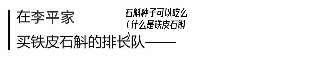 石斛种子可以吃么