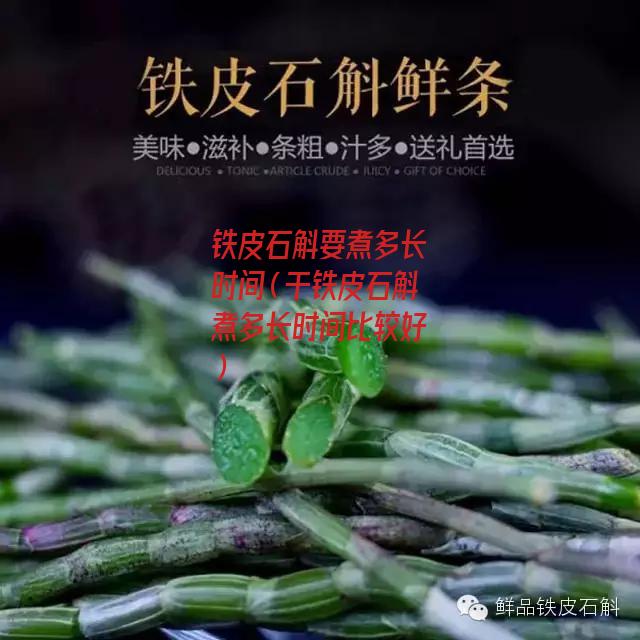 铁皮石斛要煮多长时间