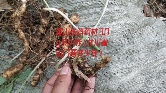 霍山米斛药材30g多少钱