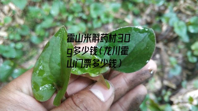 霍山米斛药材30g多少钱