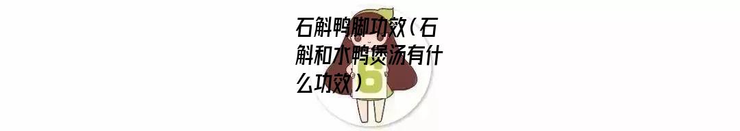 石斛鸭脚功效