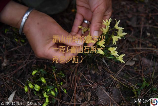 霍山米斛价格多少一克