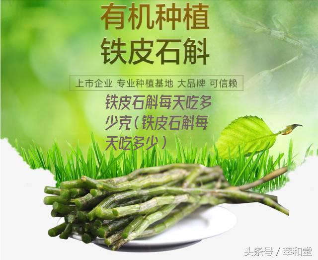 铁皮石斛每天吃多少克