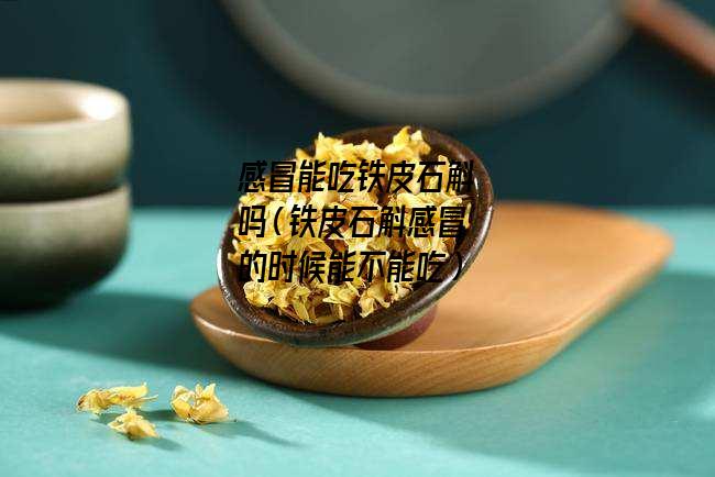 感冒能吃铁皮石斛吗（铁皮石斛感冒的时候能不能吃）