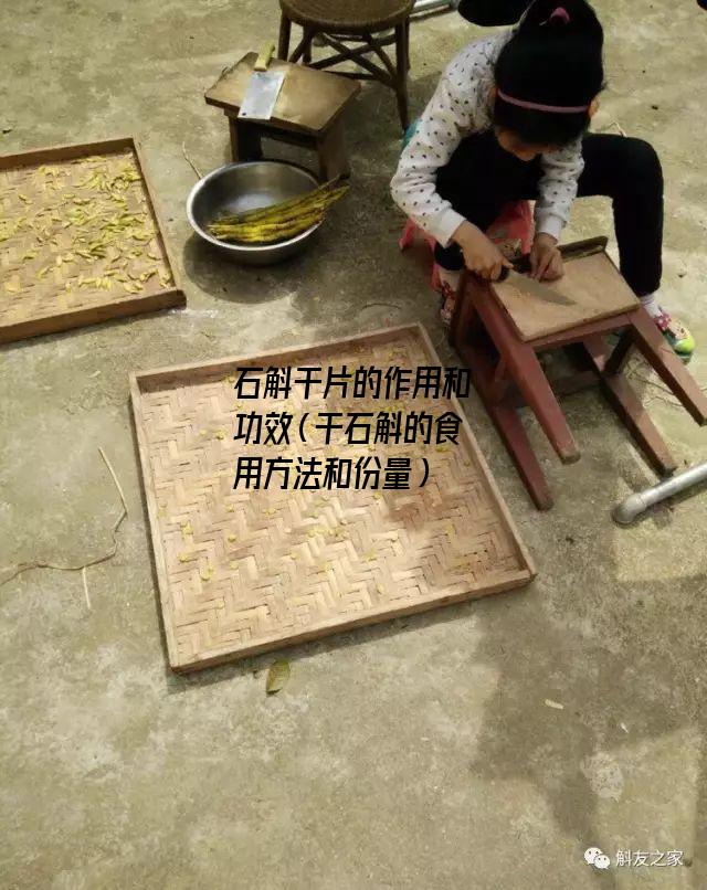 石斛干片的作用和功效