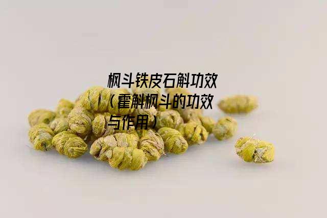 枫斗铁皮石斛功效（霍斛枫斗的功效与作用）