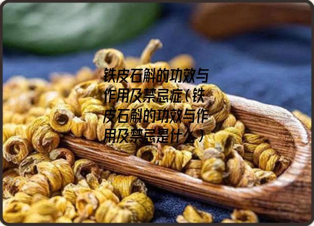 铁皮石斛的功效与作用及禁忌症