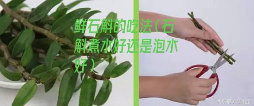 鲜石斛的吃法