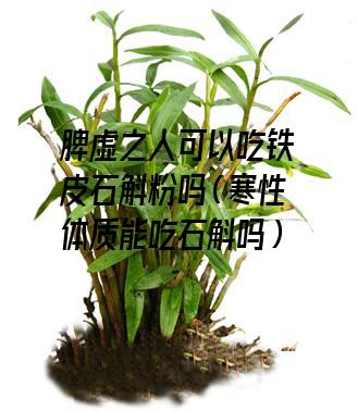 脾虚之人可以吃铁皮石斛粉吗