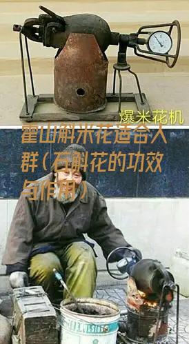 霍山斛米花适合人群