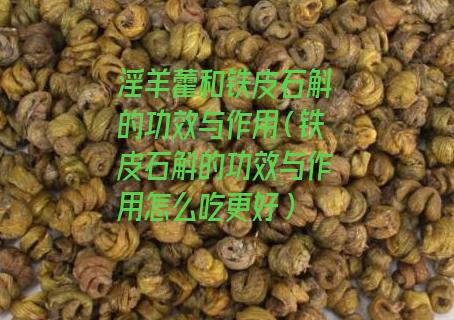 淫羊藿和铁皮石斛的功效与作用