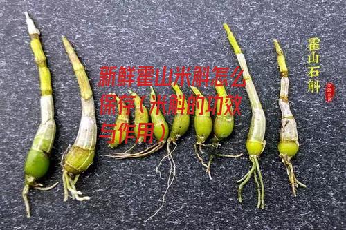 新鲜霍山米斛怎么保存