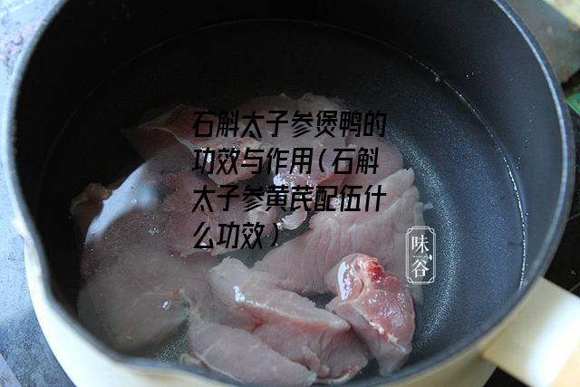 石斛太子参煲鸭的功效与作用