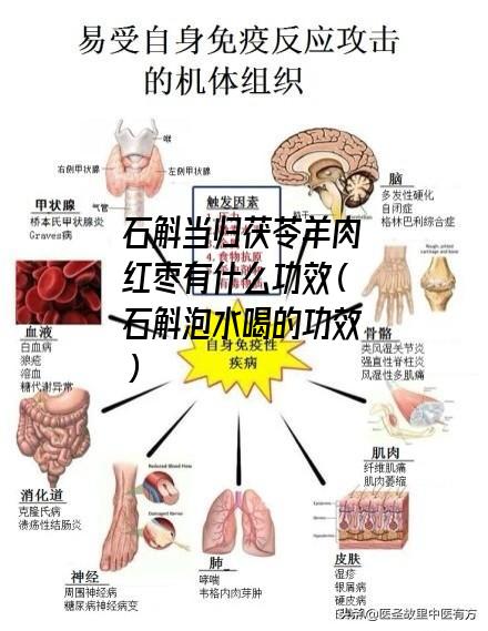 石斛当归茯苓羊肉红枣有什么功效