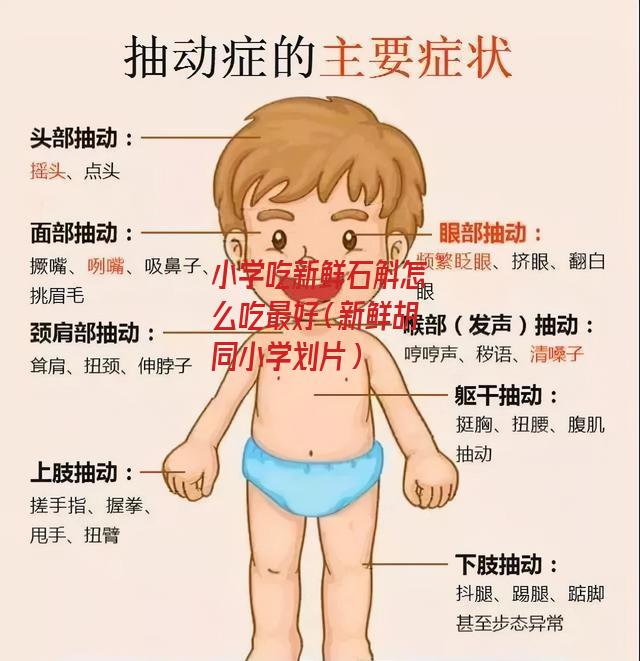 小学吃新鲜石斛怎么吃最好