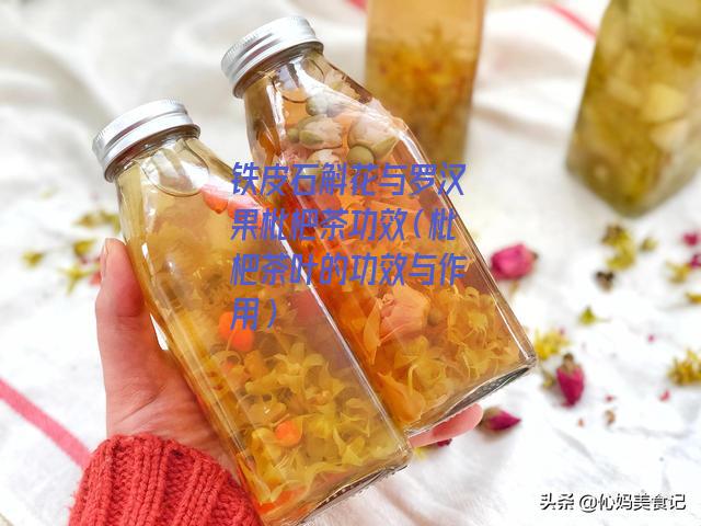 铁皮石斛花与罗汉果枇杷茶功效