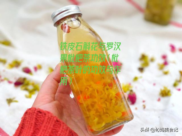 铁皮石斛花与罗汉果枇杷茶功效