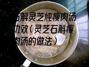 石斛灵芝炖瘦肉汤功效