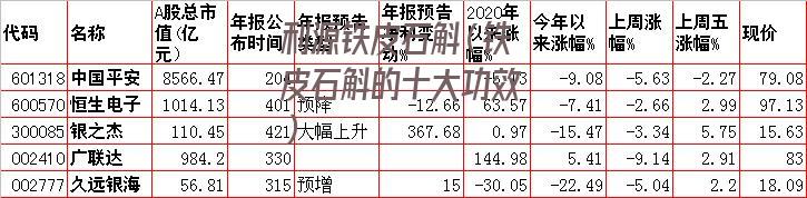 利源铁皮石斛