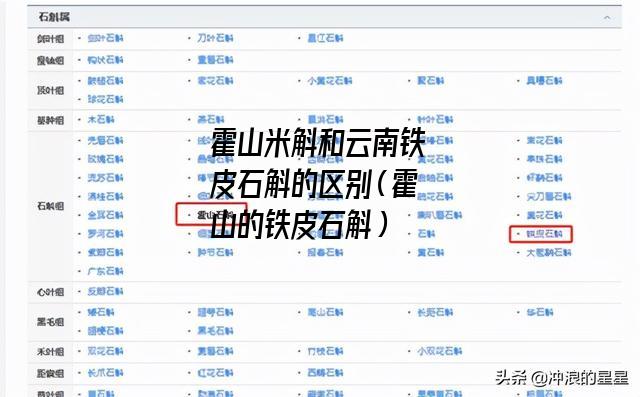 霍山米斛和云南铁皮石斛的区别