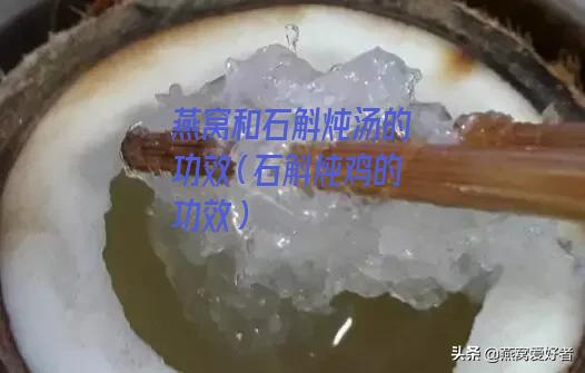 燕窝和石斛炖汤的功效