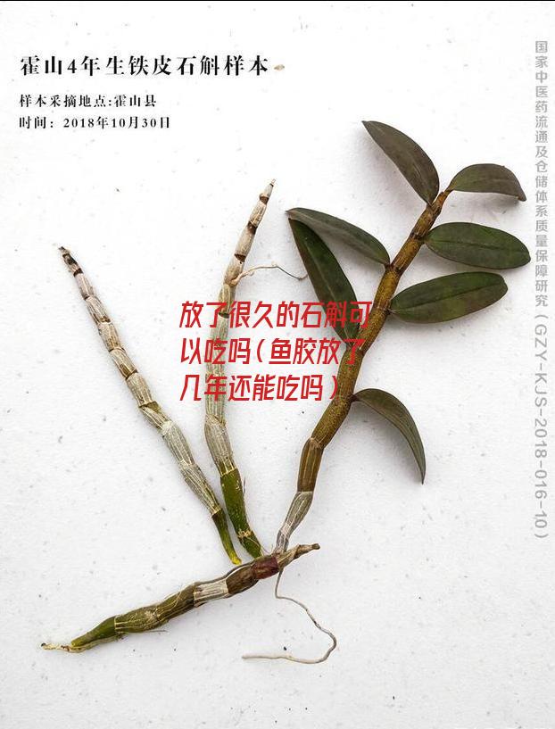 放了很久的石斛可以吃吗