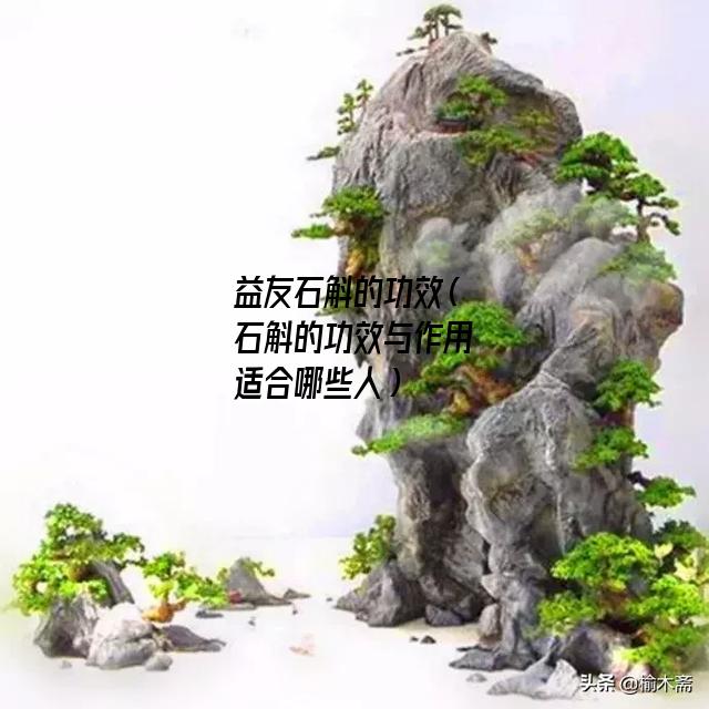 益友石斛的功效